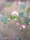 Glitter Fantasy 10