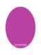 Artistic Paint Lavander
