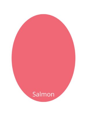 Artistic Paint Salmon