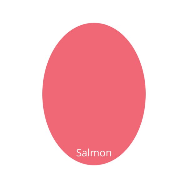 Artistic Paint Salmon