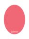 Artistic Paint Salmon