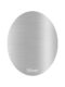Artistic Paint Silver
